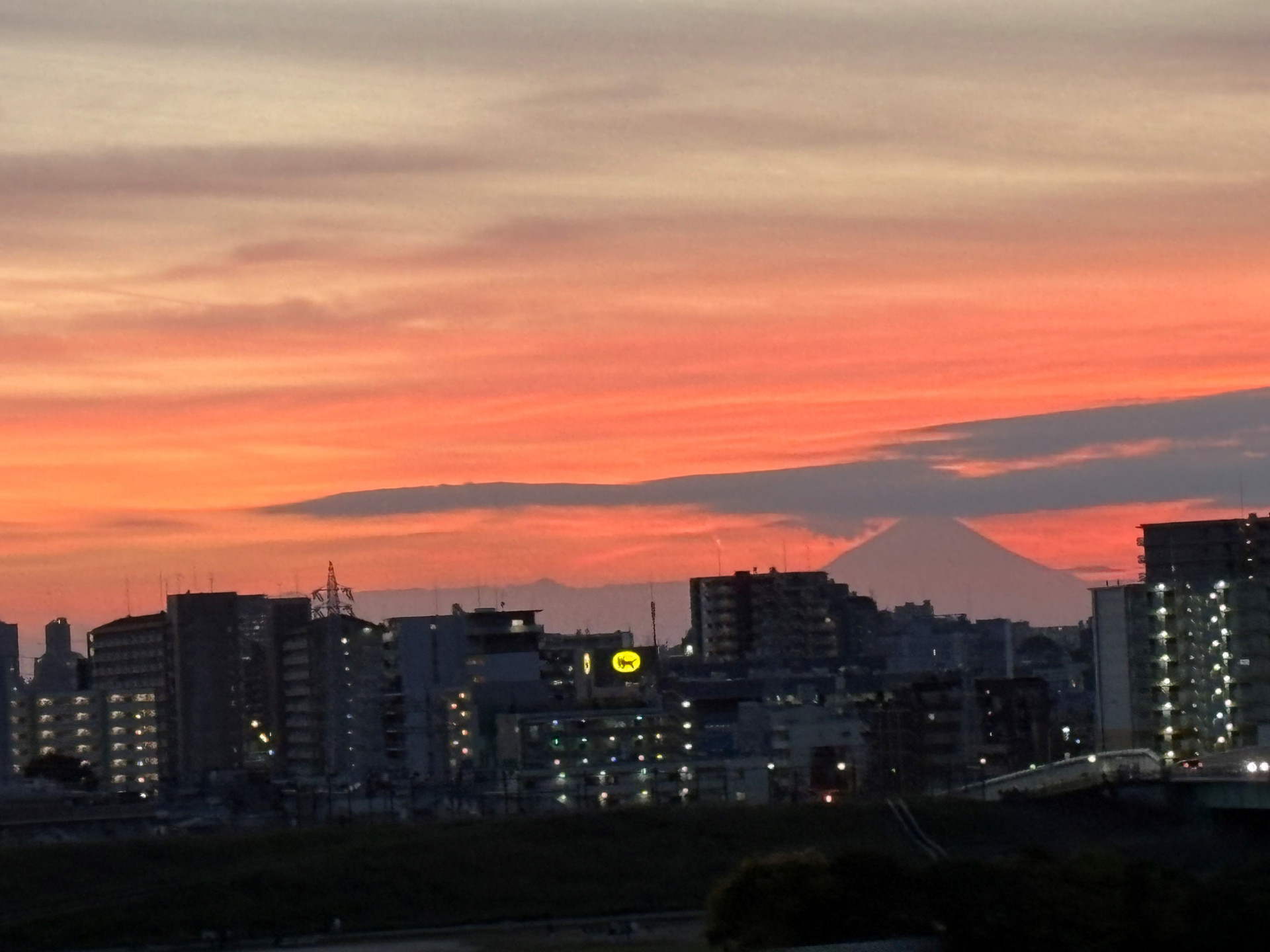 東京へ　富士山